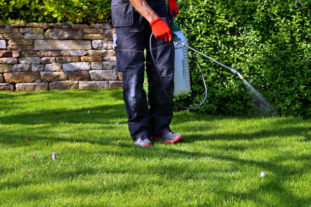 Quarterly pest control service